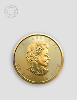1/2 Unze Gold Maple Leaf – Royal Canadian Mint